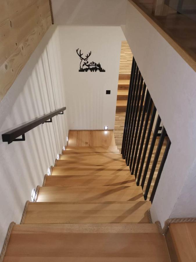 Apartament Skorusinka W Poblizu Chocholowskich Term Witów エクステリア 写真