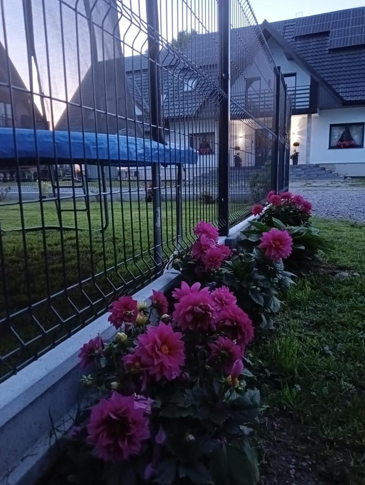Apartament Skorusinka W Poblizu Chocholowskich Term Witów エクステリア 写真